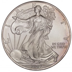 United States - American Silver Eagle - Walking Liberty 2007
