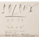 Dawid Polony (ur. 1988, Cieszyn), Skok, 2015