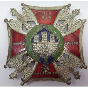 Pamiątkowa odznaka Orlęta Obrońcom Kresów Wschodnich - EMALIA -