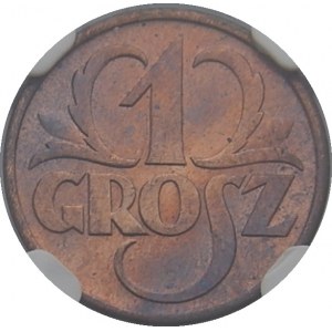 1 grosz 1935 - NGC UNC details -