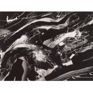 Bronislaw Schlabs (1920 Poznań - 2009 Poznań), Photogram 15/57, 1957