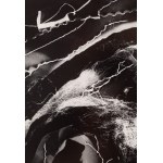 Bronislaw Schlabs (1920 Poznań - 2009 Poznań), Photogram 15/57, 1957