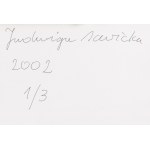 Jadwiga Sawicka (ur. 1959, Przemyśl), Biały strój kąpielowy, 2002