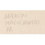 Marcin Maciejowski (geb. 1974, Babice bei Krakau), Wenn viel Geld in der Nähe von Freunden ist, 2000