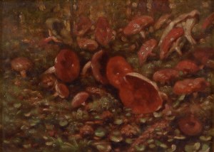 Władysław Malecki (1836 Masłów - 1900 Szydłowiec), Czerwone grzyby na leśnej polanie