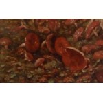 Władysław Malecki (1836 Masłów - 1900 Szydłowiec), Red mushrooms in a forest glade