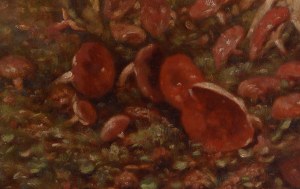 Władysław Malecki (1836 Masłów - 1900 Szydłowiec), Czerwone grzyby na leśnej polanie