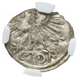 Sigismund II August, Denare 1557 Vilnius NGC AU58