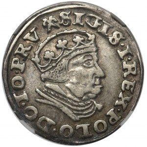 Sigismund I the Old, 3gr 1540 Danzig NGC XF45