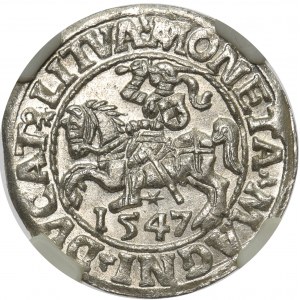 Zygmunt II August, Półgrosz Wilno 1547 NGC MS64