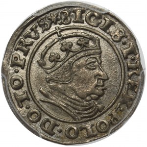 Sigismund I the Old, Grosz 1540 Danzig PCGS MS62