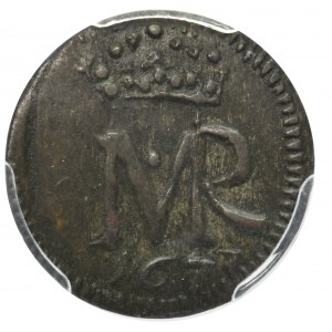 Michał Korybut Wiśniowiecki, Szeląg Elbląg 1673 - PCGS AU50