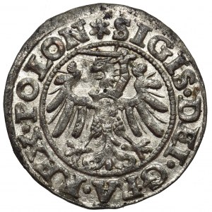 Sigismund I the Old, Shilling 1546 Danzig