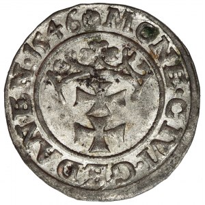 Sigismund I the Old, Shilling 1546 Danzig