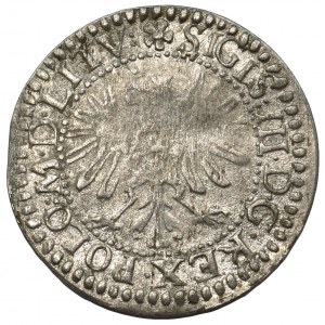 Sigismund III Vasa, Grosz 1610 Vilnius