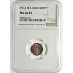 1 grosz 1931 NGC MS66 RB