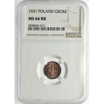 1 grosz 1931 NGC MS66 RB