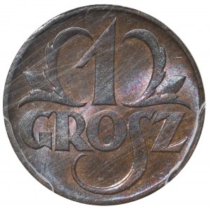 1 grosz 1923 - PCGS MS66 BN