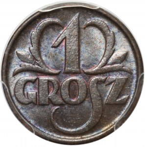 1 grosz 1934 PCGS MS65 BN