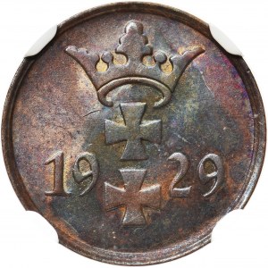 Free City of Danzig 1 pfennig 1929 - NGC MS64 BN