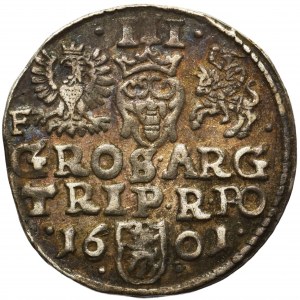 Sigismund III Vasa, 3gr 1601 Wschowa