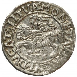 Sigismund II August, Half-groat 1556 L/LITVA