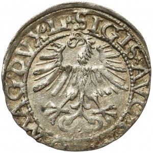 Sigismund II August, Half-groat 1562 LI/LITV