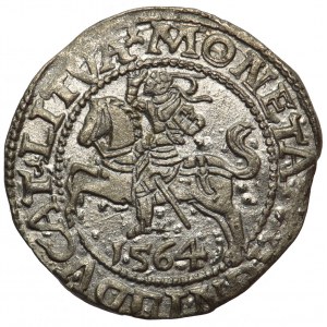 Sigismund II August, Half-groat 1564 LI/LITV