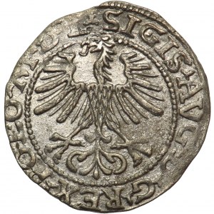 Sigismund II August, Half-groat 1564 LI/LITV