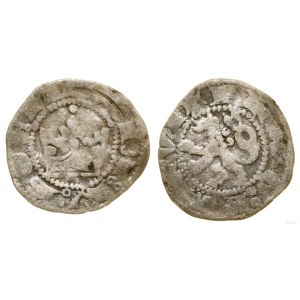 Polska, parwus praski, bez daty (1300-1305), Kutná Hora