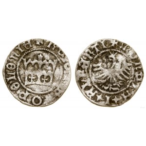 Polen, halber Pfennig, 1499-1501, Krakau