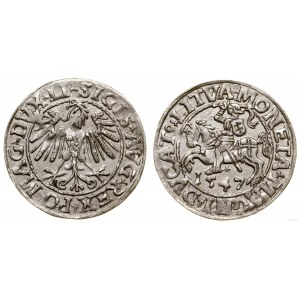 Polska, półgrosz, 1547, Wilno