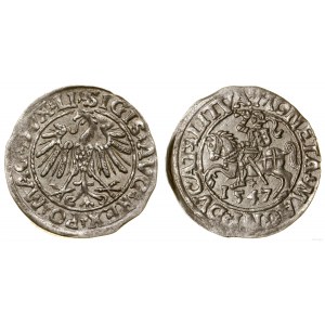 Polen, litauischer Halbpfennig, 1547, Vilnius