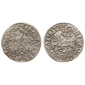 Polska, półgrosz litewski, 1548, Wilno