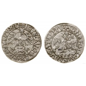Polska, półgrosz litewski, 1556, Wilno
