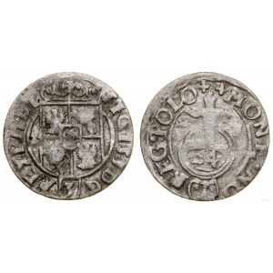 Polska, półtorak, 1623, Bydgoszcz