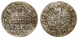 Polska, grosz, 1615, Kraków