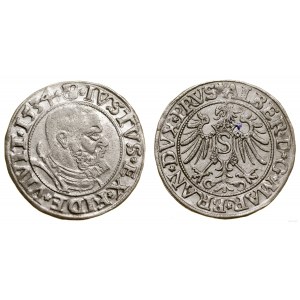 Herzogliches Preußen (1525-1657), Pfennig, 1534, Königsberg