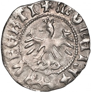 Jan I Olbracht (1492–1501), półgrosz koronny, Kraków, 
