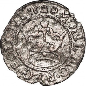 Zygmunt III Waza (1587–1632), półgrosz, 1620, Bydgoszcz, 