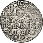 Zygmunt III Waza (1587–1632), zestaw 13 sztuk trojaków, 