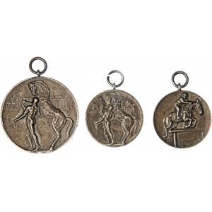 Zestaw trzech medali nagrodowych (z grawerunkiem) z wojskowych zawodów hippicznych i myśliwskich, 1927, 1928, brąz srebrzony