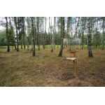 Jakub Podlodowski, Birch forest + NFT