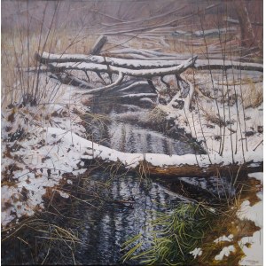 Jakub Podlodowski, Winter stream in Kijany + NFT