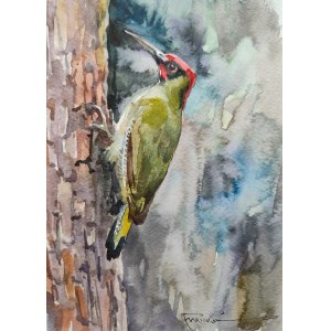 Alexander Franko, Green Woodpecker + NFT