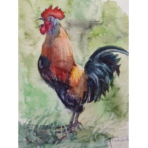 Alexander Franko, Gallo + NFT
