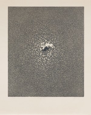 Roman Opałka, Z WNĘTRZA, Z CYKLU „OPISANIE ŚWIATA“, 1969