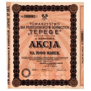 Poland, Share Society for Mining Enterprises TEPEGE in Cracow 20 shares at 1000 Polish marks 1923
