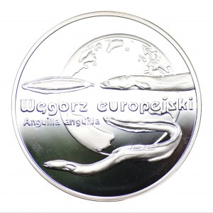 20 Gold 2003 - European Eel