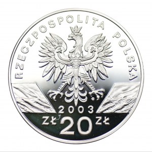 20 złotych 2003 - Węgorz Europejski